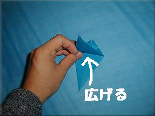 �����L����