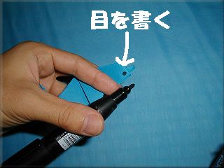 �ڂ����������