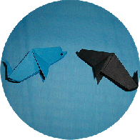 ���邩�̂��肪�݂̂ł�������